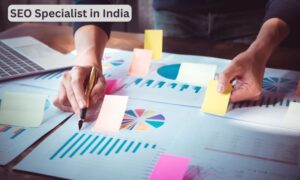 seo specialist in india